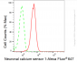 KD-Validated Anti-Neuronal Calcium Sensor 1 Rabbit Monoclonal Antibody